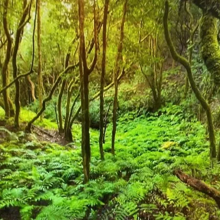 Salsalitre Chico Lejlighed *